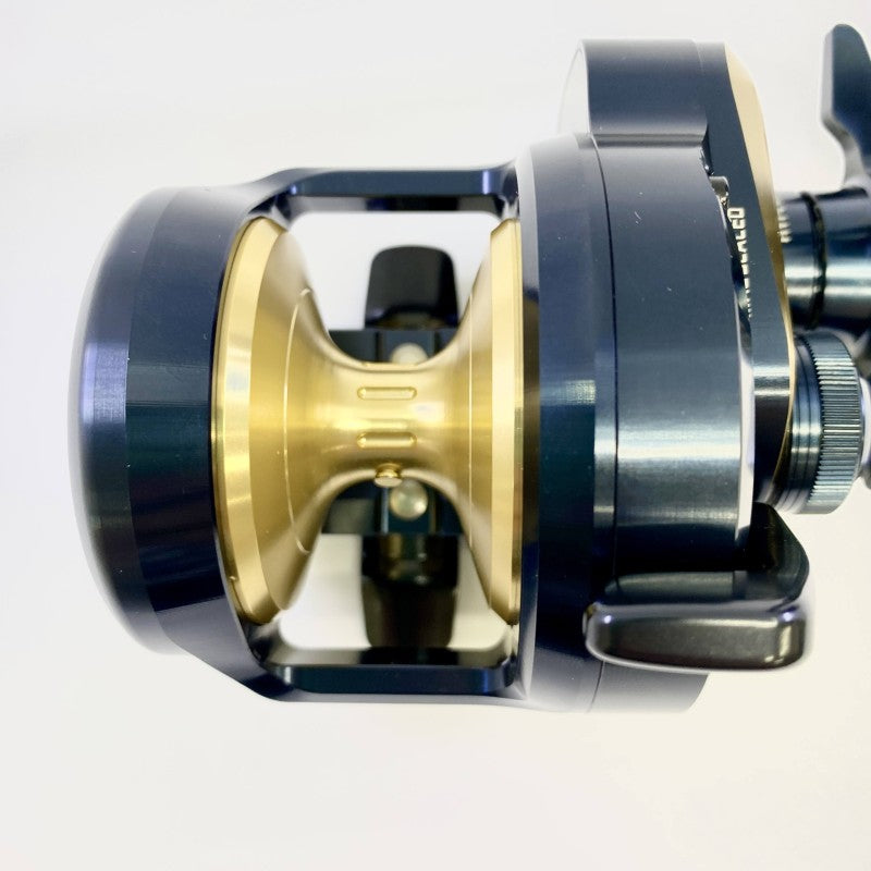 DAIWA 25 SALTIGA 10
