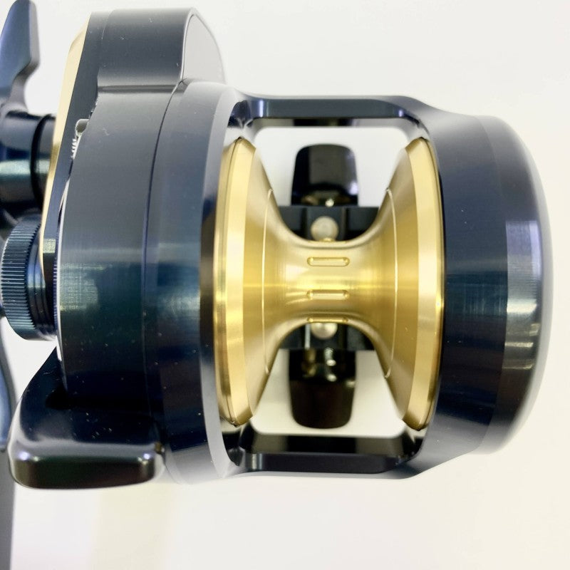 DAIWA SALTIGA 10 25 SALTIGA 10L SOL