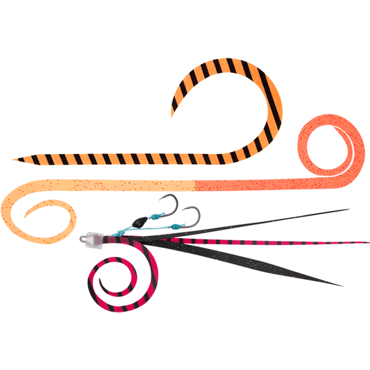DAIWA KOHGA KAE UNIT B SS TRIAL ASSORT ASSORTMENT C
