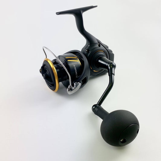 DAIWA 26 BG SW 5000-H
