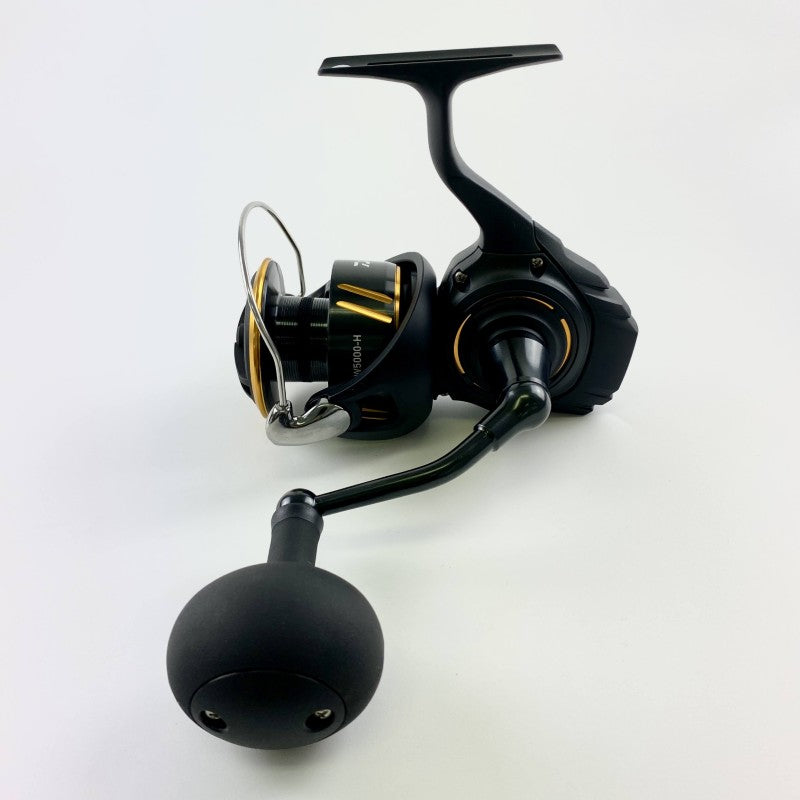 DAIWA 26 BG SW 5000-H