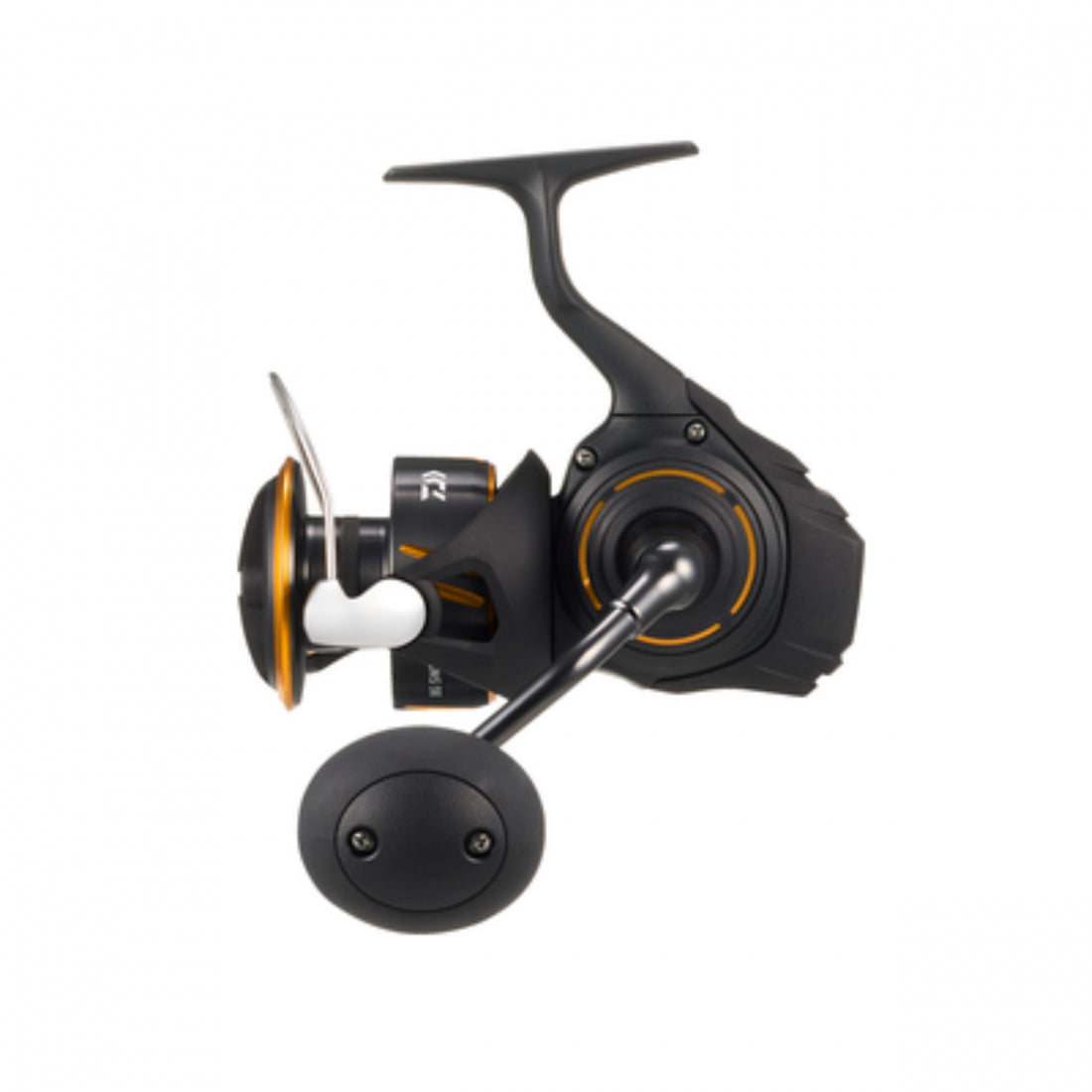 DAIWA 26 BG SW 6000-P