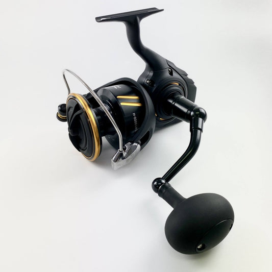 DAIWA 26 BG SW 10000-H