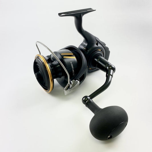 DAIWA 26 BG SW 14000-H