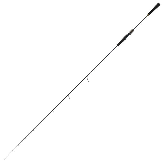 DAIWA SALTIGA SLJ EX 64MLS_SMT (Spinning)
