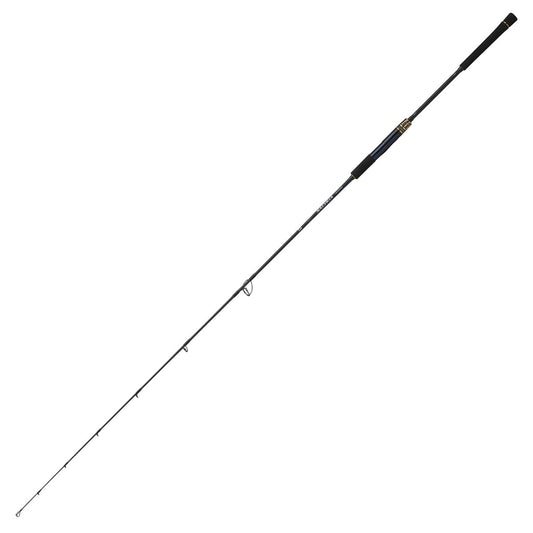 DAIWA SALTIGA J LOWRESPONSE 63S_3 (Spinning)