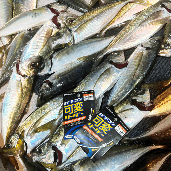 Crazy Ocean BACHIKON KAHEN LEADER #3 : 50cm (2 sets/pack) fishing terminal tackle