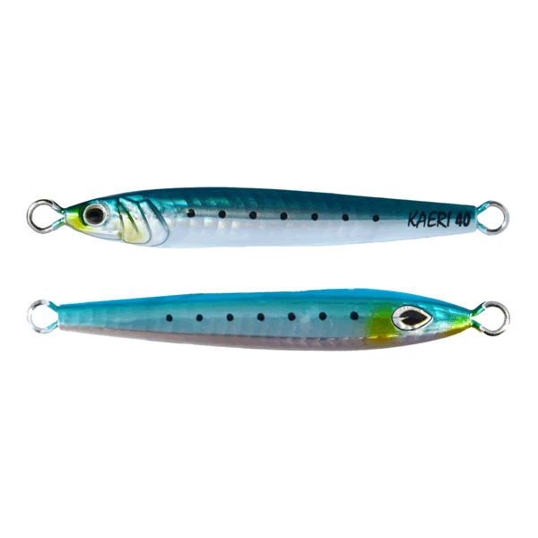 beat & KAERI 40g 81.5mm : 40g #017UV SARDINE saltwater fishing lure