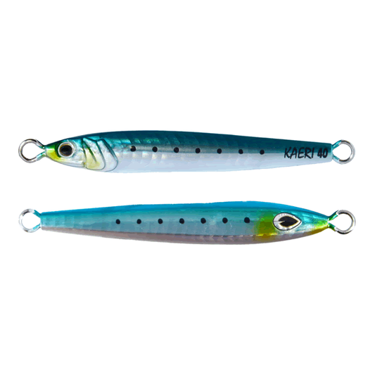 beat & KAERI 40g 81.5mm : 40g #017UV SARDINE