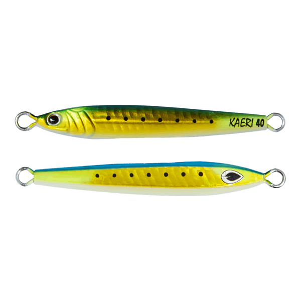beat & KAERI 40g 81.5mm : 40g #021 MURAKAMI SHAD SARDINE GOLD saltwater fishing lure