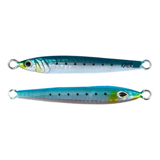 beat & KAERI 100g 109mm : 100g #017 UV SARDINE
