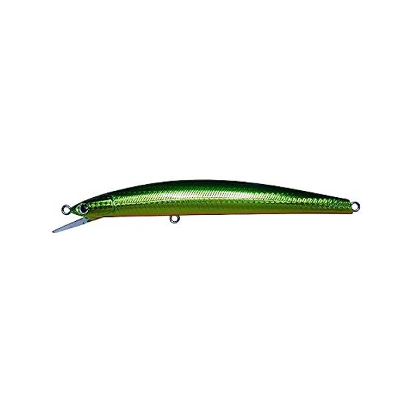Halcyon System GOZZO 15F 150mm : 25g FLOATING #15 H-G GROR saltwater fishing lure