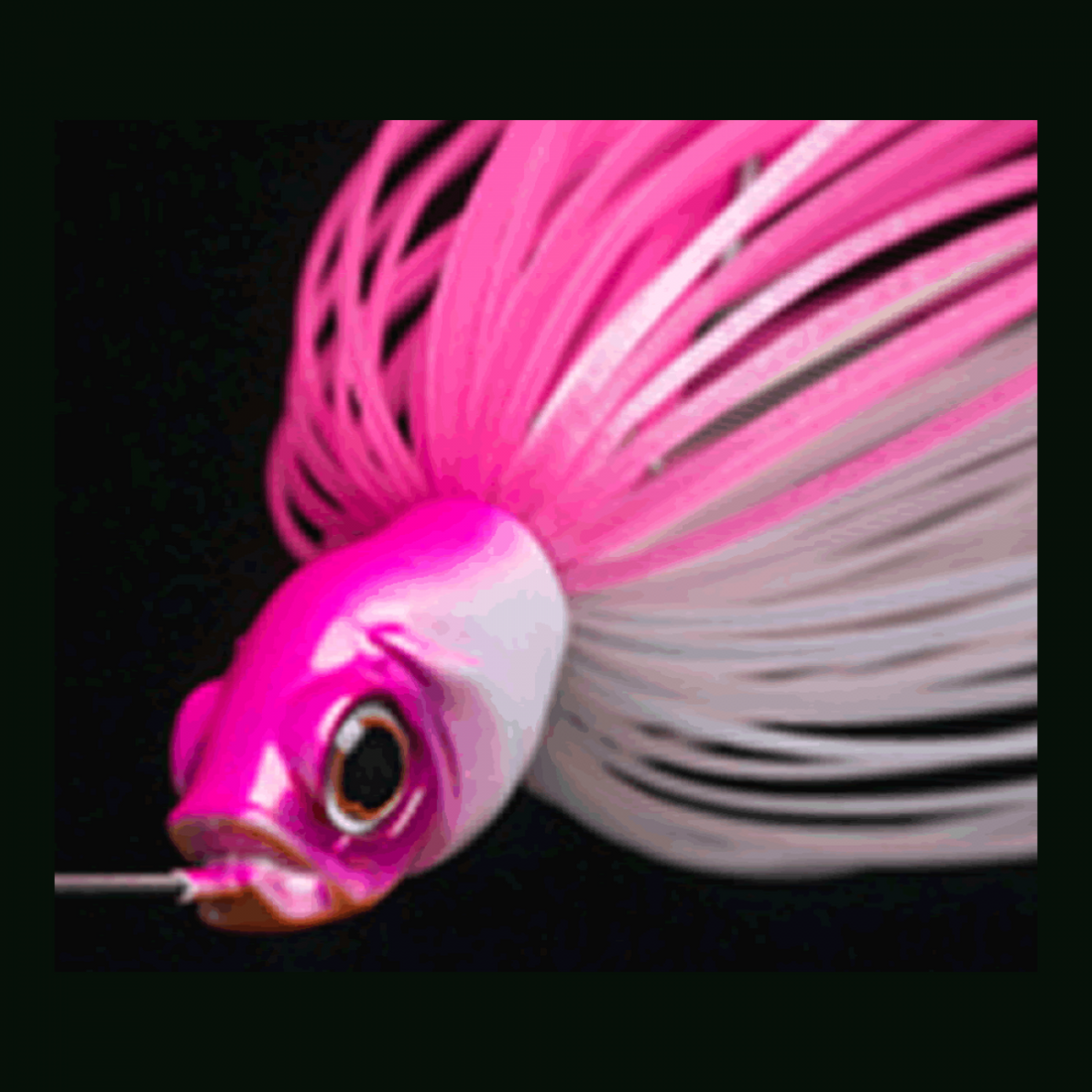 GAN CRAFT 3/8oz freshwater fishing lure