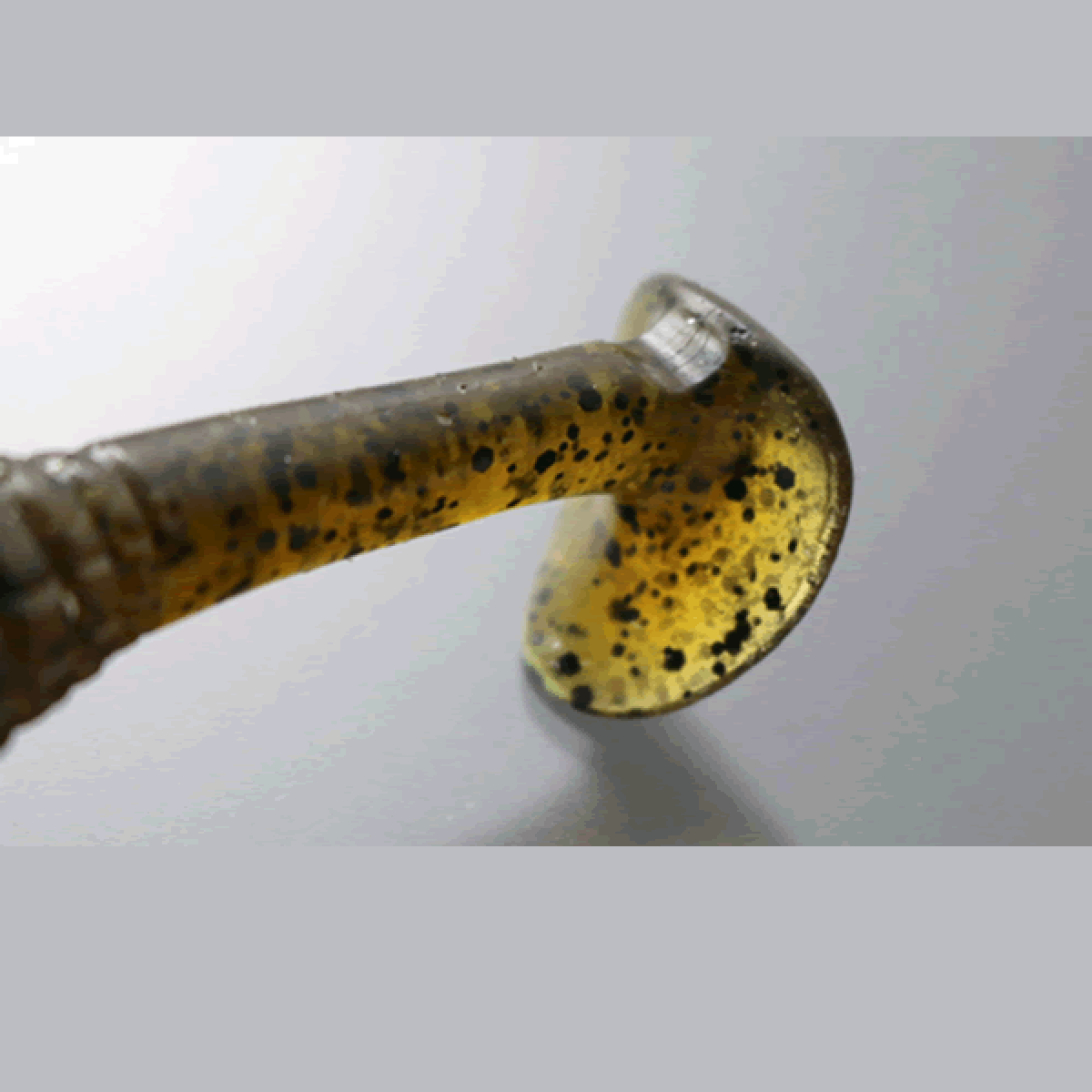 issei CARAMEL SHAD 5" (5 pcs/pack) #07 GREEN PUMPKIN