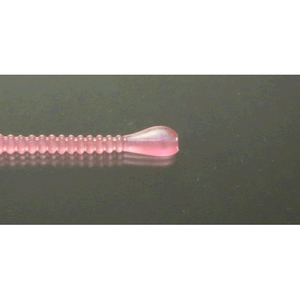 issei UMITARO SUPATERA 2.5" (14 pcs/pack) #008 PINK (GLOW)