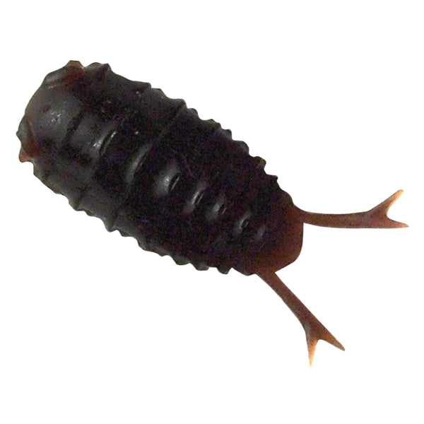 BREADEN 13-ROACH 30mm (8 pcs/pack) 14 ROACH BROWN saltwater fishing lure