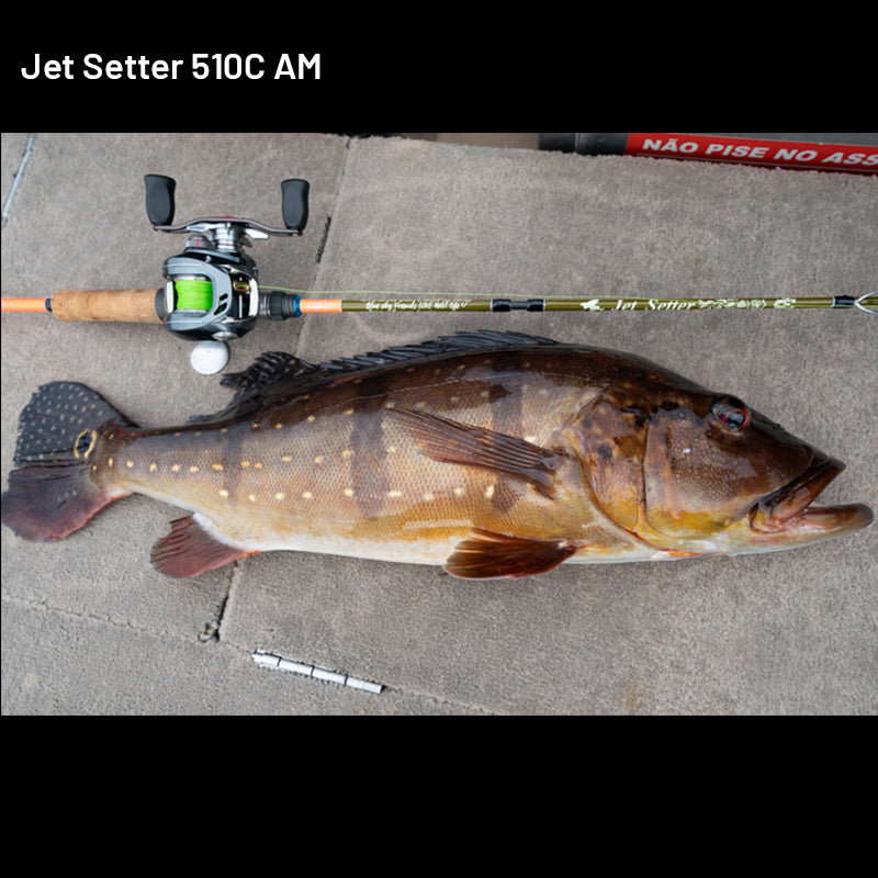Jet Slow Jet Setter Jet Setter 510C AM (3 pieces, Casting) fishing rod — photo 3