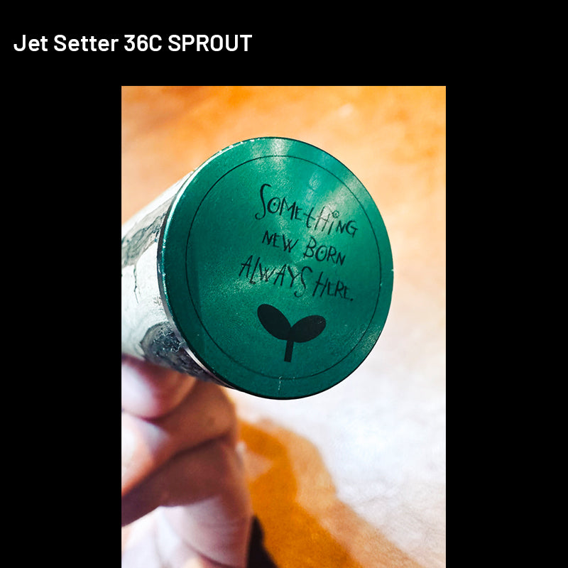 Jet Slow Jet Setter Jet Setter 36C SPROUT (3 pieces, Casting) fishing rod — photo 2