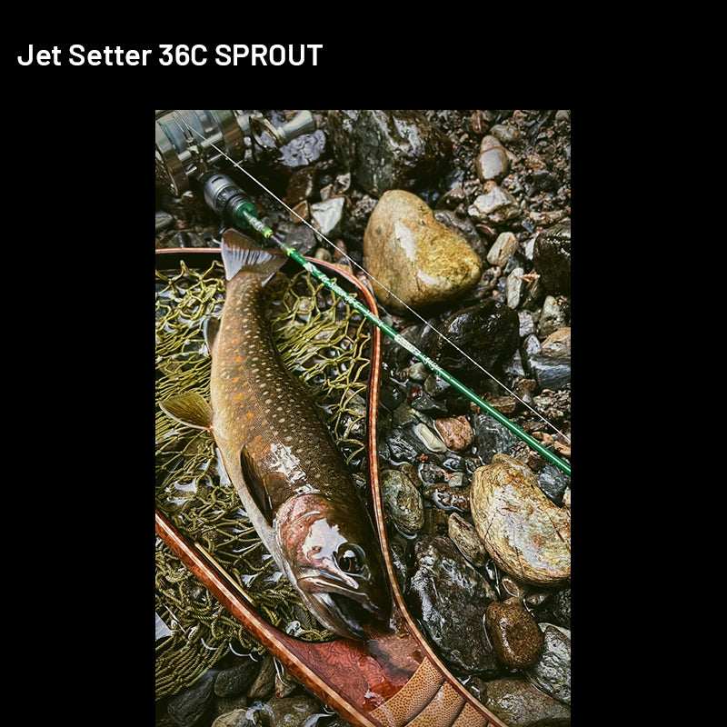 Jet Slow Jet Setter Jet Setter 36C SPROUT (3 adet, Atma)