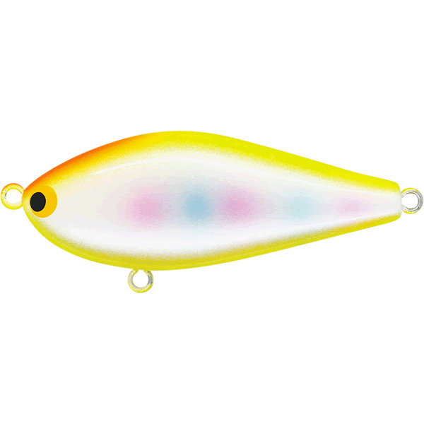 Pozi Drive Garage ZIGZAG BATE 60S 60mm : 11g Sinking #10 CBR CHART BACK RAINBOW saltwater fishing lure