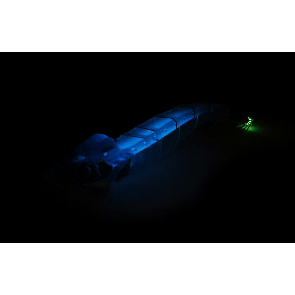 issei Kibiko Esamaki Boost #2.8 #010 MIDORI GLOW (BLUE YAKO)