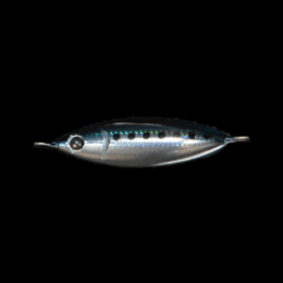 Zeake S_BIT 20g 20g 002 MAIWASHI saltwater fishing lure