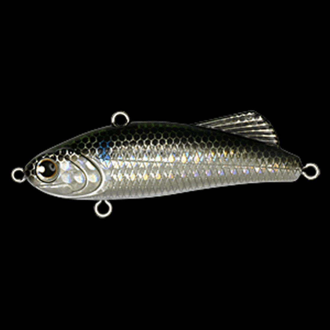 LONGIN FUNKEY DART 55 55mm : 11g SINKING BORA (LENS HOLO) saltwater fishing lure