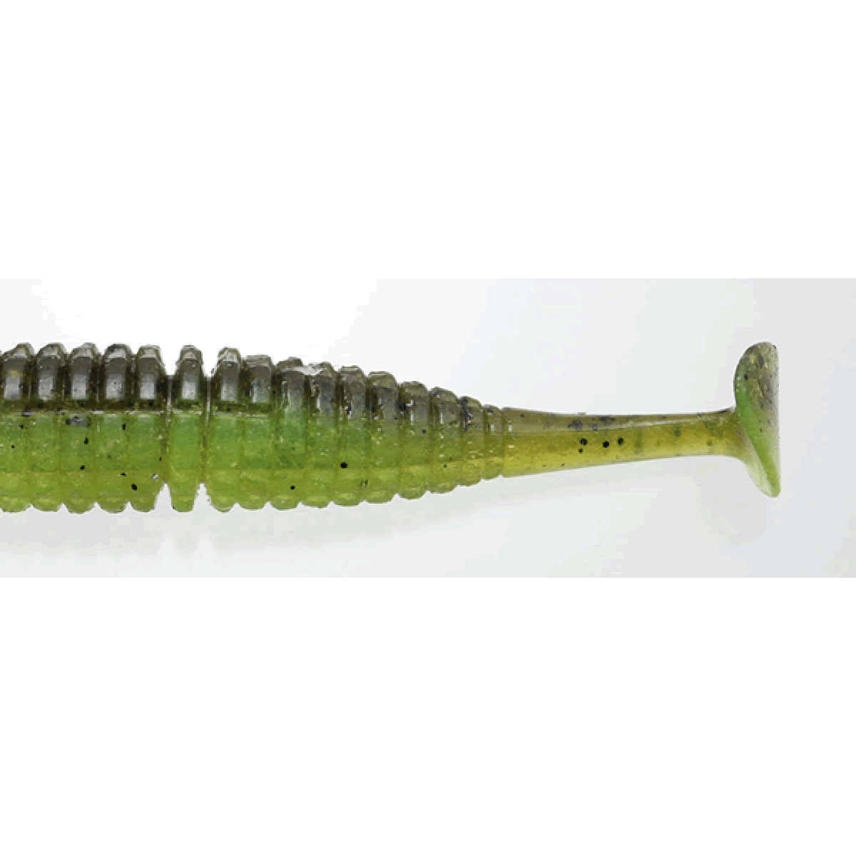 issei CARAMEL SHAD 3.5" (8 pcs/pack) #10 GURIPAN/CHART
