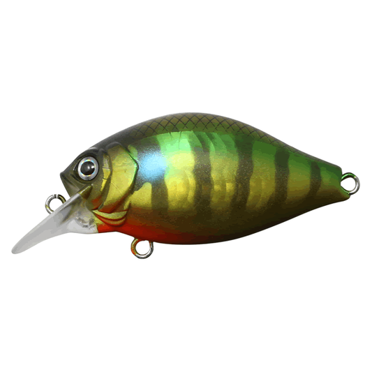 issei G.C. SHALLOW CRANK 40SR CHI-LA 40mm : 5g #11 BLUE GILL