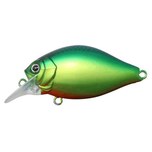 issei G.C. SHALLOW CRANK 40SR CHI-LA 40mm : 5g #20 CHART BLUE BACK