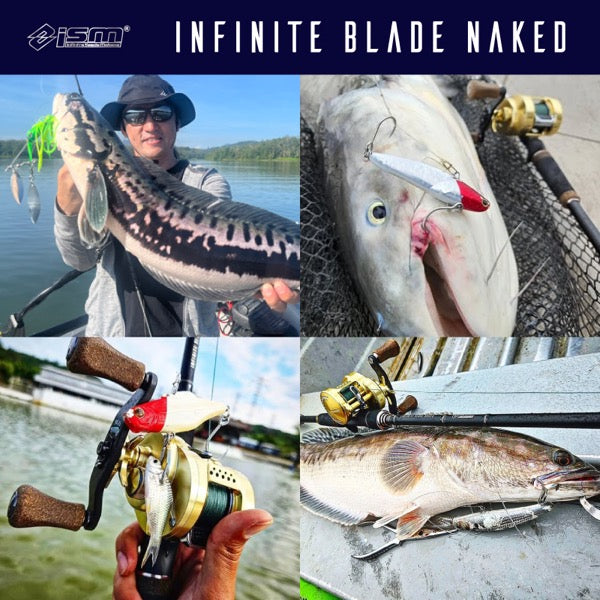 ISM INFINITE BLADE NAKED IBNC-66XH (Casting) fishing rod — photo 2