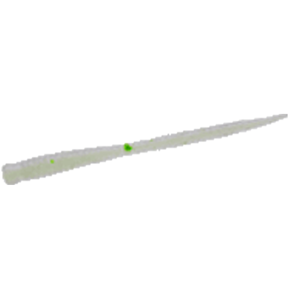 Bait Breath NEEDLE REAL FRY 2" (15 pcs/pack) GF02 GF WHITE PEARL saltwater fishing lure