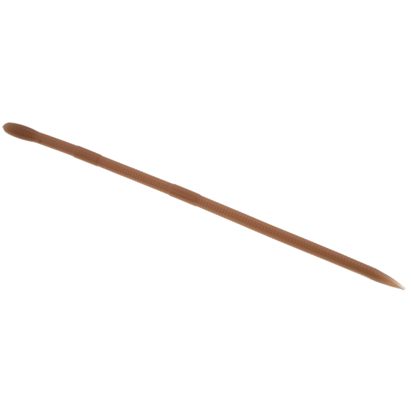 Bait Breath U30 VEIN SLIM 8" (10 pcs/pack) #011 CINNAMON freshwater fishing lure