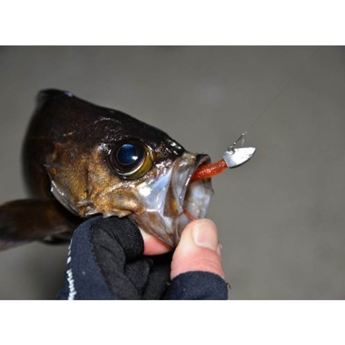 MAGBITE KURUKURU BLADING JIGHEAD #8 - 3.0g (2pcs / Pack) - Britannic Trade