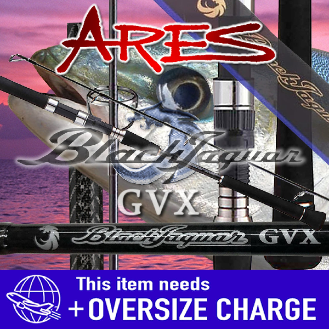 ARES BLACK JAGUAR GVX S601/3 1 piece (Spinning) fishing rod