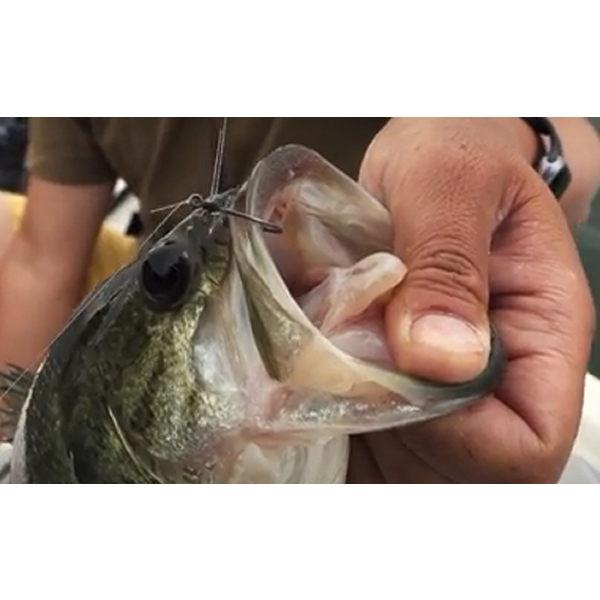 OWNER OH B-82 JUNGLE WACKY GUARD #2 (4 pcs/pack)