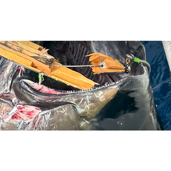 OWNER OH S-161M BIG GAME SINGLE #13/0 (2 pcs/pack) fishing terminal tackle — photo 2