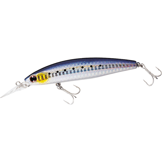 DAIWA SHORELINE SHINER Z SETUPPER 125S-DR 125mm : 26g Slow Sinking L MAIWASHI - Britannic Trade