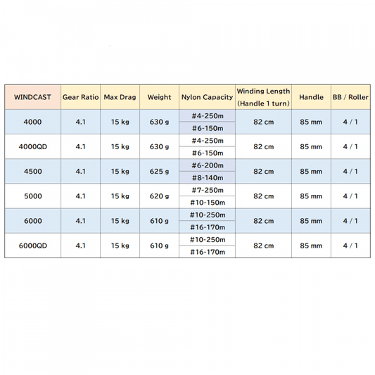 DAIWA 17 WINDCAST 4500 - Britannic Trade