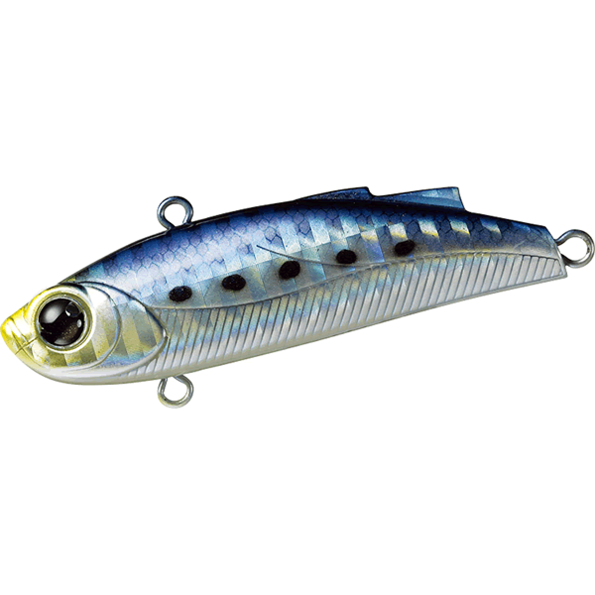DAIWA MORETHAN MINIENT 57S 57mm : 11.5g IWASHI