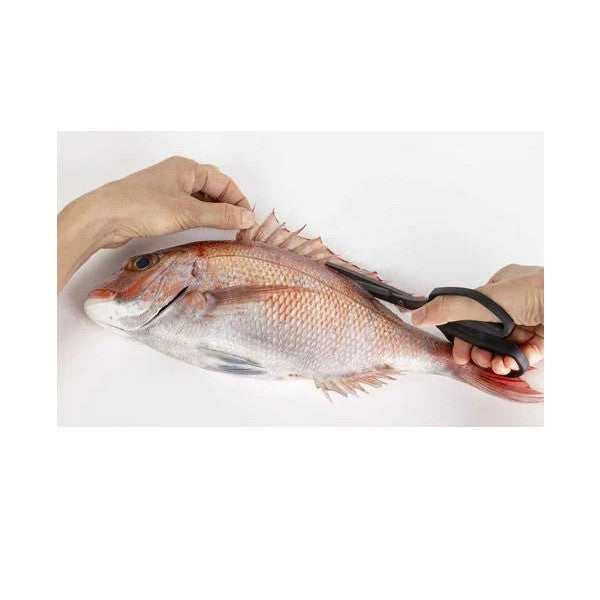 SHIMANO SUPA SCISSORS LARGE 189mm x 83mm x 13mm CT-524Y Light Gray fishing accessory — photo 2