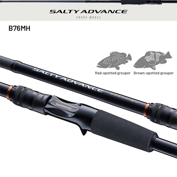 SHIMANO 25 SALTY ADVANCE ROCK FISH B76MH Casting