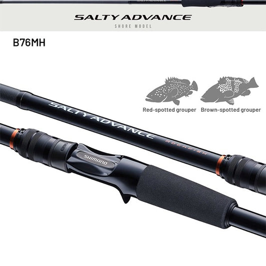 SHIMANO 25 SALTY ADVANCE ROCK FISH B76MH Casting