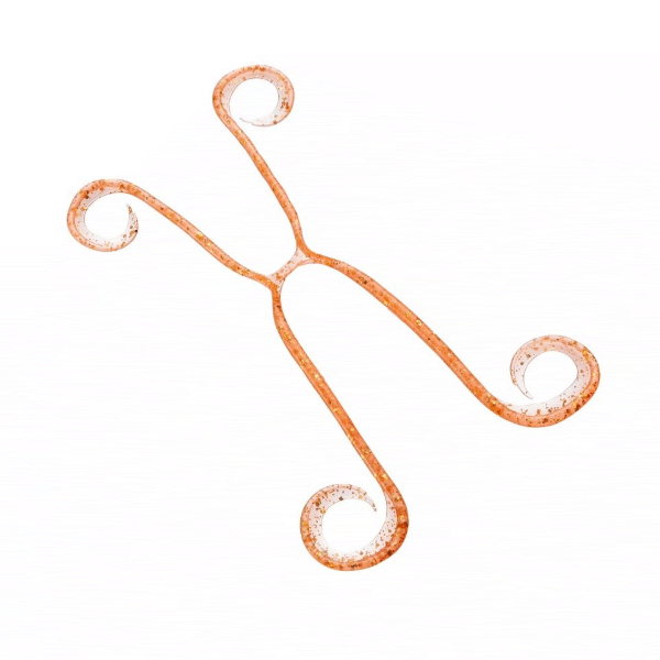 SHIMANO ENGETSU IKA TAKO 4 130mm (2 pcs/pack) ED-V01U ORANGEGOLD