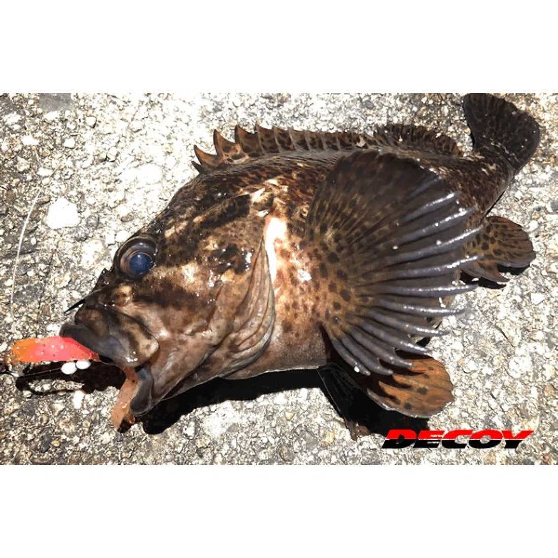 DECOY MAKISASU HOOK #1 Worm30 (5 pcs/pack) NS BLACK