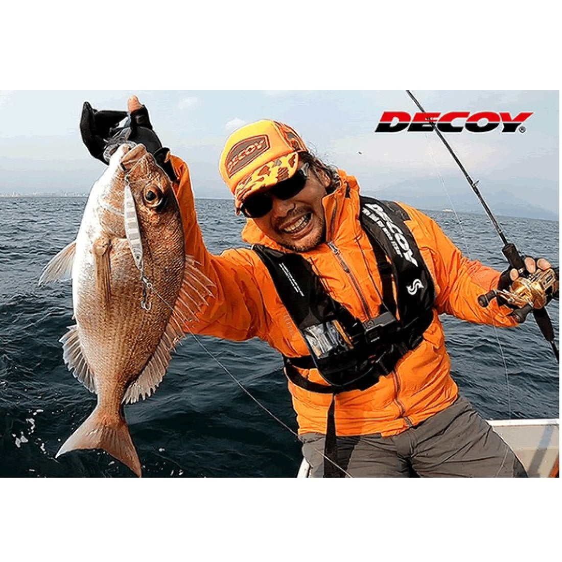DECOY S.L.ASSIST TWIN #6 DJ-84 (2 pcs/pack) TIN