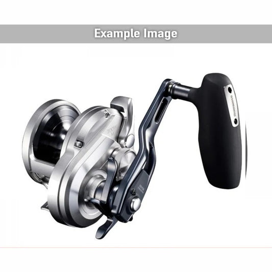 SHIMANO 21 OCEA JIGGER 2001NR-MG LEFT — product photo
